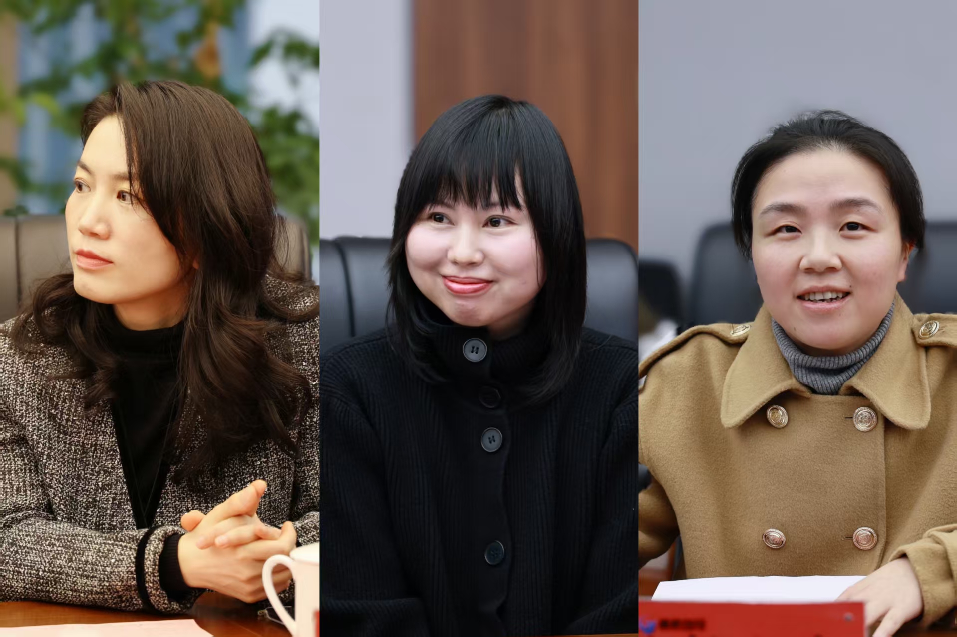 微信图片_20250331093134