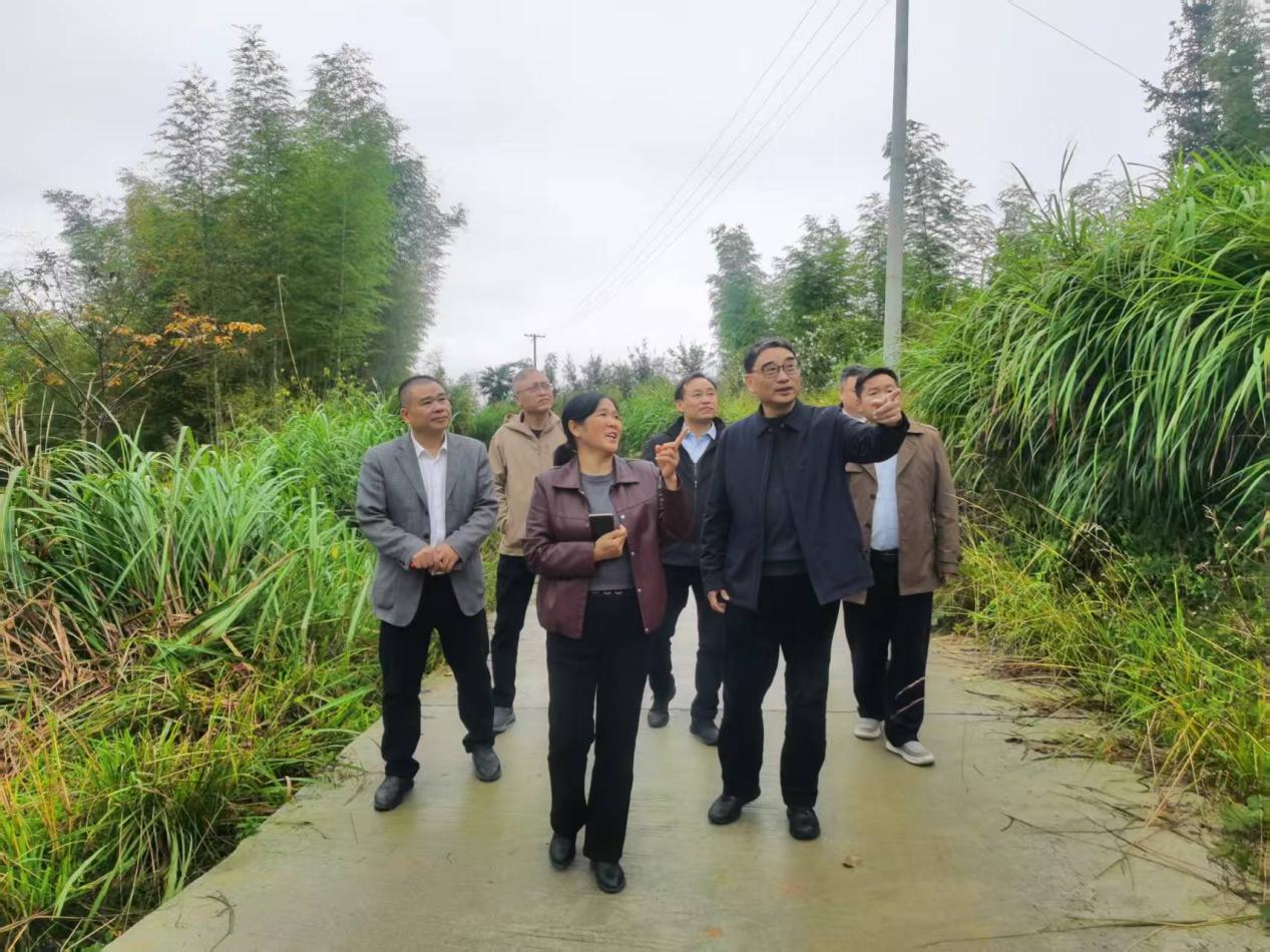 图片1jjj 图片1jjj